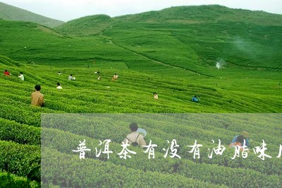 普洱茶有没有油脂味儿的/2023121706370