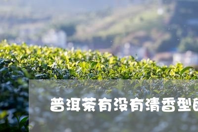 普洱茶有没有清香型的/2023062261803