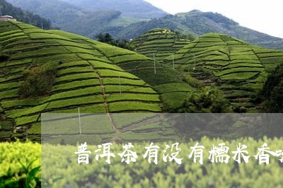 普洱茶有没有糯米香味/2023080244925