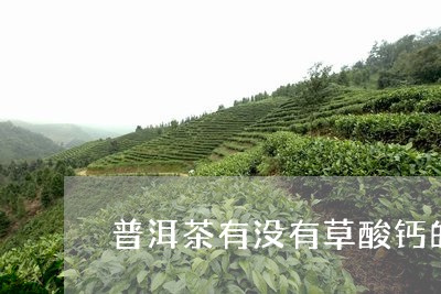 普洱茶有没有草酸钙的/2023110761473