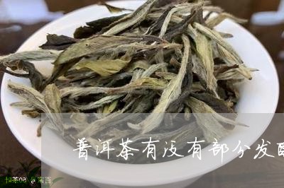 普洱茶有没有部分发酵过程/2023081593937