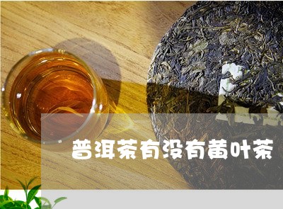 普洱茶有没有黄叶茶/2023070961503