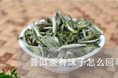 普洱茶有沫子怎么回事/2023092884910