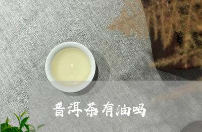 普洱茶有油吗/2023042962503