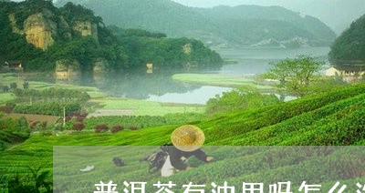 普洱茶有油用吗怎么洗掉/2023121748582