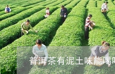 普洱茶有泥土味能喝吗/2023093037191