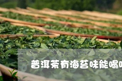 普洱茶有海苔味能喝吗/2023092785030