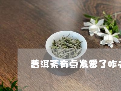 普洱茶有点发霉了咋办/2023092962716