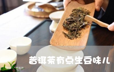 普洱茶有点生豆味儿/2023120514270