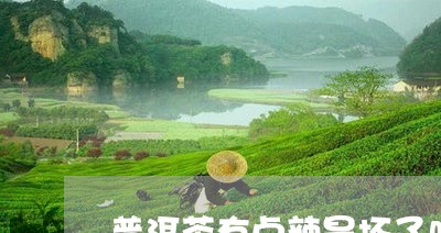 普洱茶有点辣是坏了吗/2023073083727