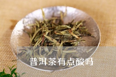 普洱茶有点酸吗/2023102661595