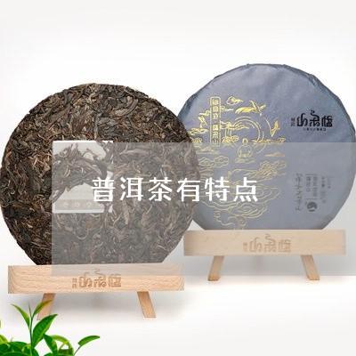 普洱茶有特点/2023042848567