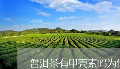 普洱茶有甲壳素吗为什么/2023112752795