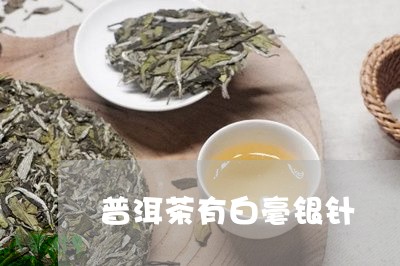 普洱茶有白毫银针/2023090655250