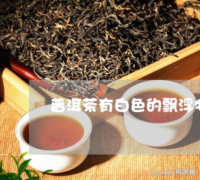 普洱茶有白色的飘浮物/2023062016202