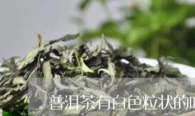 普洱茶有白色粒状的吗/2023073029505