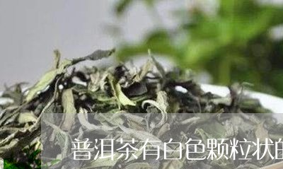 普洱茶有白色颗粒状的/2023072452816