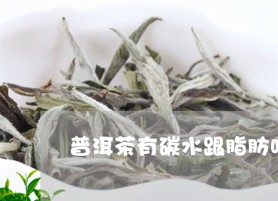 普洱茶有碳水跟脂肪吗/2023062262606