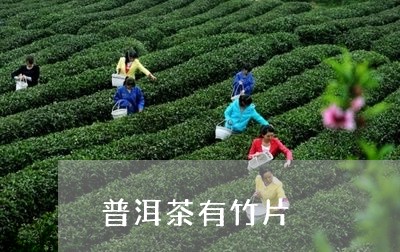 普洱茶有竹片/2023042600742