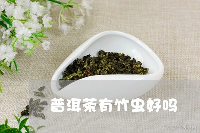 普洱茶有竹虫好吗/2023120426249