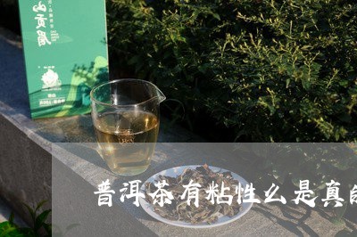 普洱茶有粘性么是真的吗/2023082485716