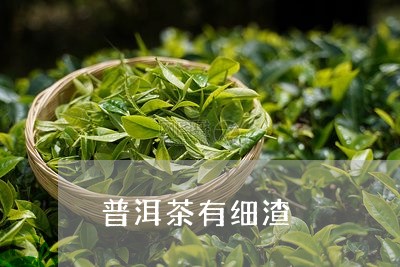 普洱茶有细渣/2023042911896