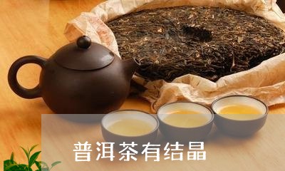 普洱茶有结晶/2023042692231