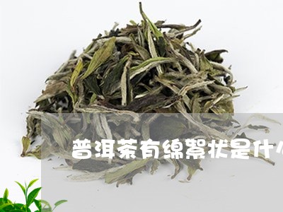 普洱茶有绵絮状是什么/2023093082613