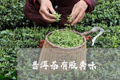 普洱茶有股粪味/2023101686351