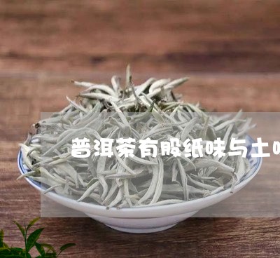 普洱茶有股纸味与土味/2023092526140