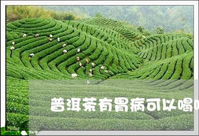 普洱茶有胃病可以喝吗/2023092886151