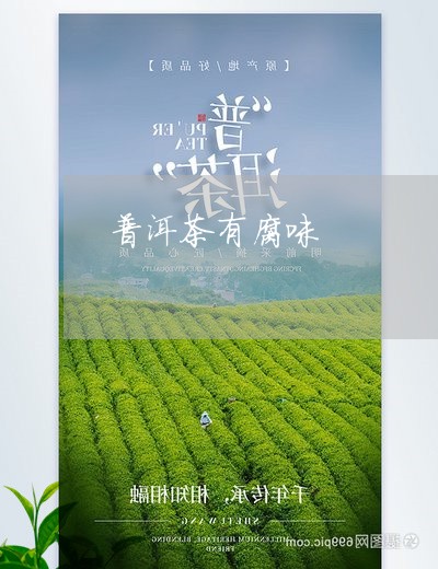 普洱茶有腐味/2023042597428