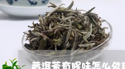 普洱茶有腥味怎么处理/2023100554927