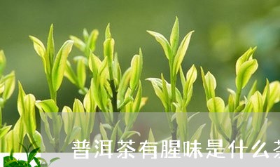 普洱茶有腥味是什么茶/2023100712605