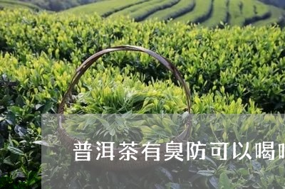 普洱茶有臭防可以喝吗/2023092735138