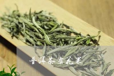 普洱茶有花果/2023042693902