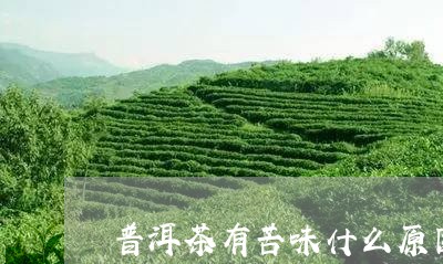 普洱茶有苦味什么原因呢/2023102511402