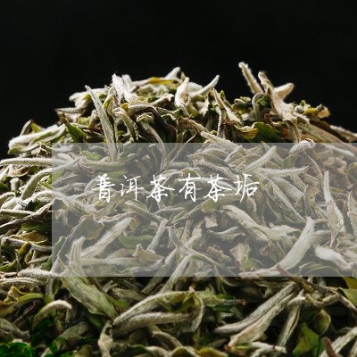 普洱茶有茶垢/2023042713133