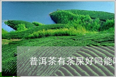 普洱茶有茶屎好吗能喝吗/2023110114027