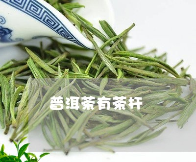 普洱茶有茶杆/2023042946313