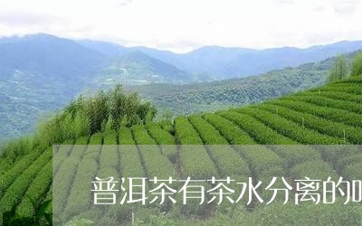 普洱茶有茶水分离的吗/2023092794958