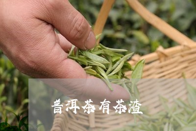 普洱茶有茶渣/2023042869073