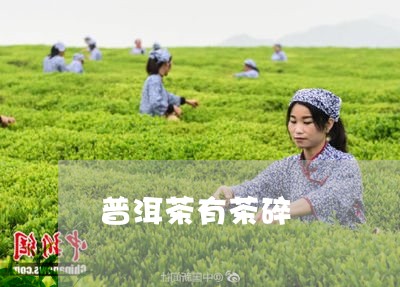 普洱茶有茶碎/2023042887735