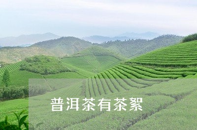 普洱茶有茶絮/2023042952983