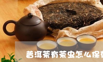 普洱茶有茶虫怎么保存最好/2023112427370