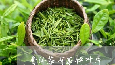 普洱茶有茶饼叶片/2023091458283