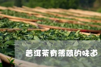 普洱茶有薄荷的味道/2023083028703