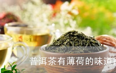 普洱茶有薄荷的味道能喝吗/2023112404957