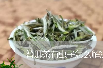 普洱茶有虫子怎么解决/2023062706161