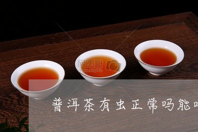 普洱茶有虫正常吗能喝吗/2023110726960